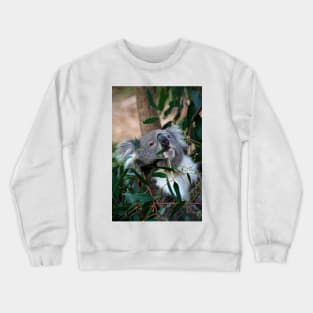 Feeding Time For Koalas Crewneck Sweatshirt